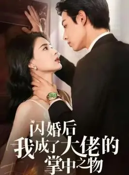 《闪婚后我成了大佬的掌中之物》:甜宠升级!霸总的爱情保鲜秘籍,齁甜来袭!
